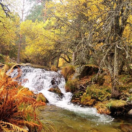 Casas Rurales Valle De El Paular Раскафриа Экстерьер фото