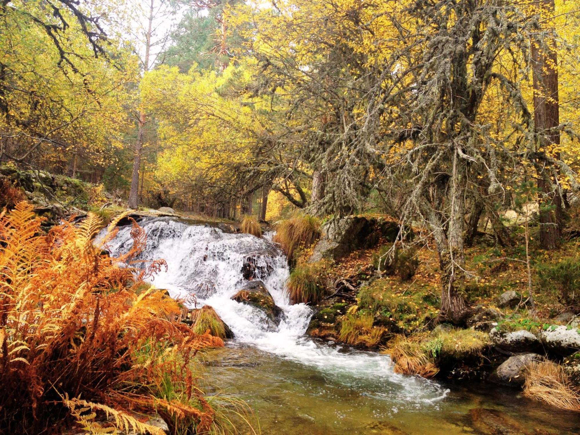 Casas Rurales Valle De El Paular Раскафриа Экстерьер фото