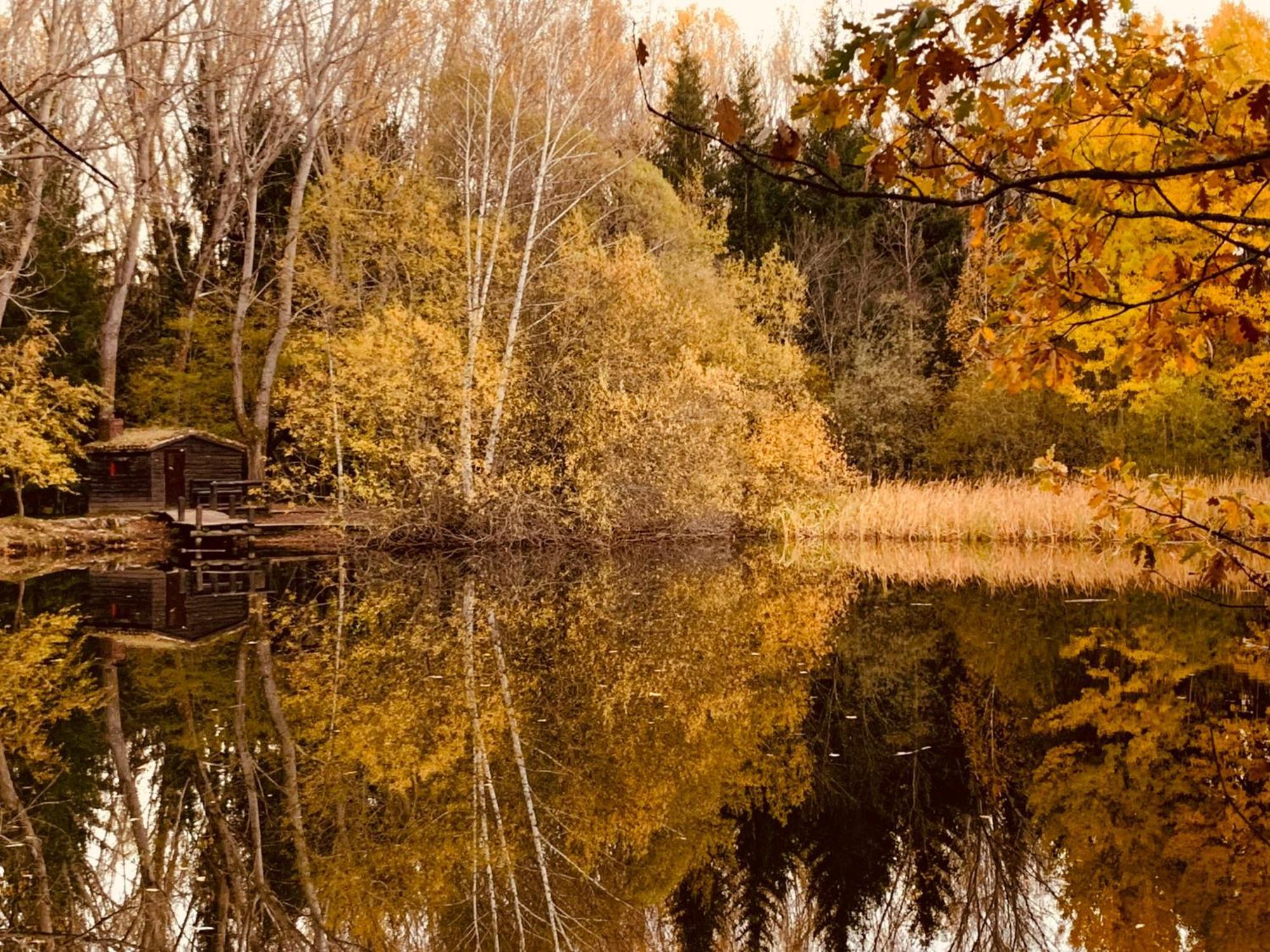 Casas Rurales Valle De El Paular Раскафриа Экстерьер фото